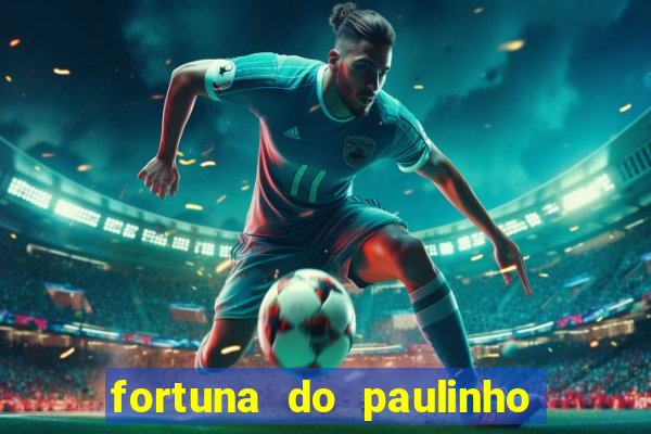 fortuna do paulinho do roupa nova